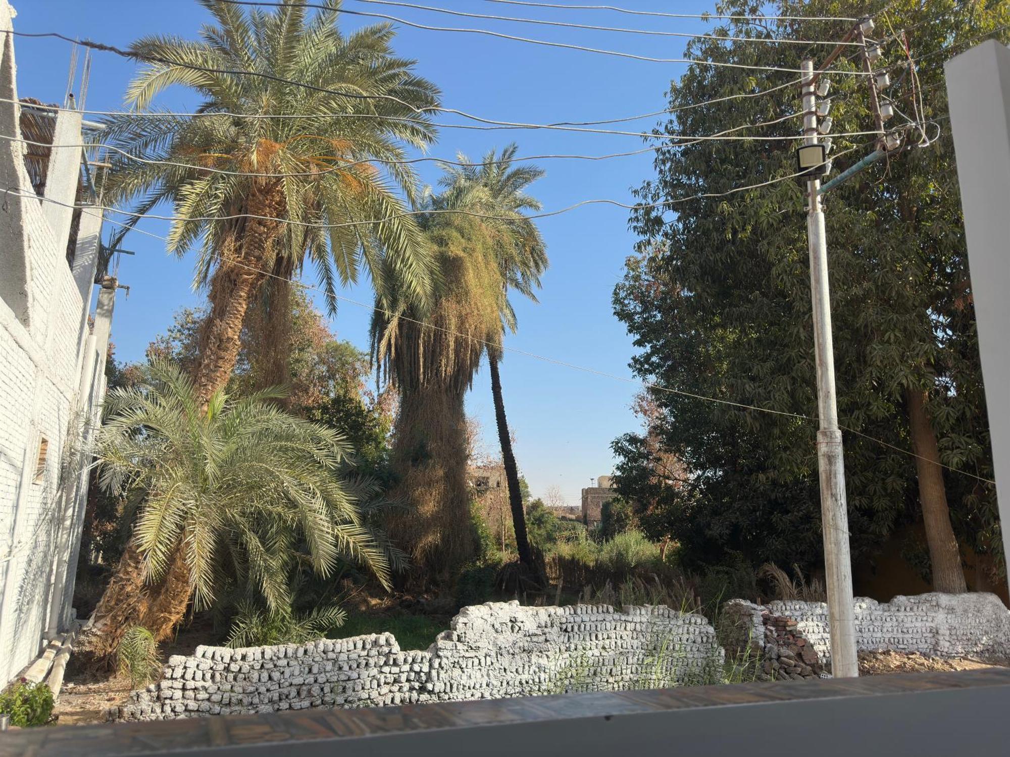Palm Geust House Asvan
