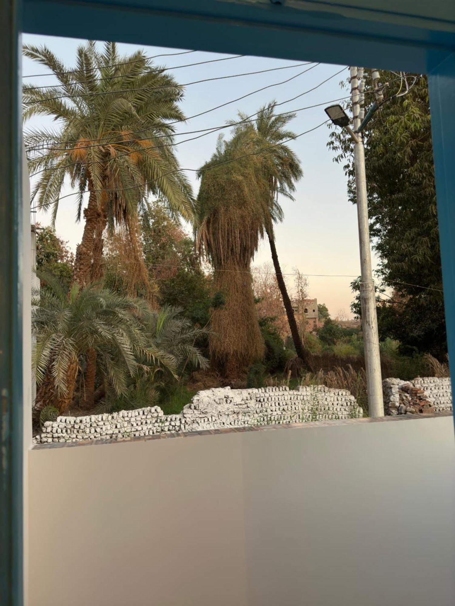 Oda ve Kahvaltı Palm Geust House