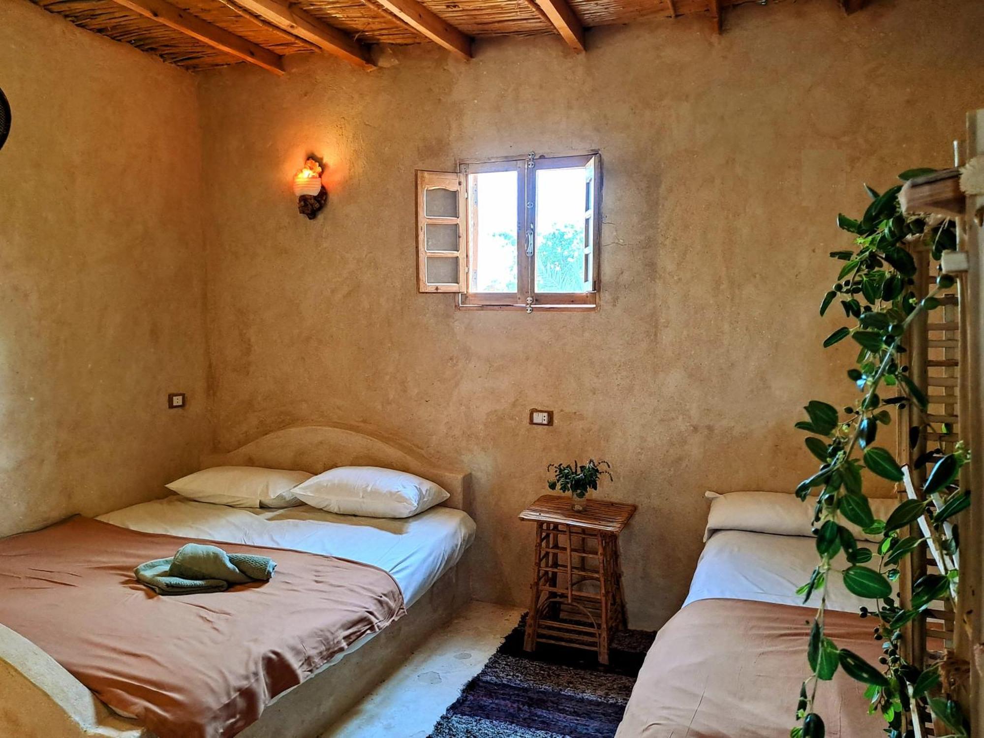 Cafour House Siwa - Hot Spring Camping *