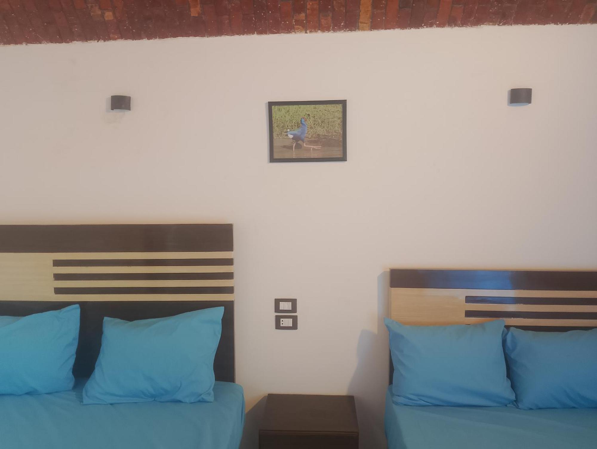 Guest house Hannag Island Aswan