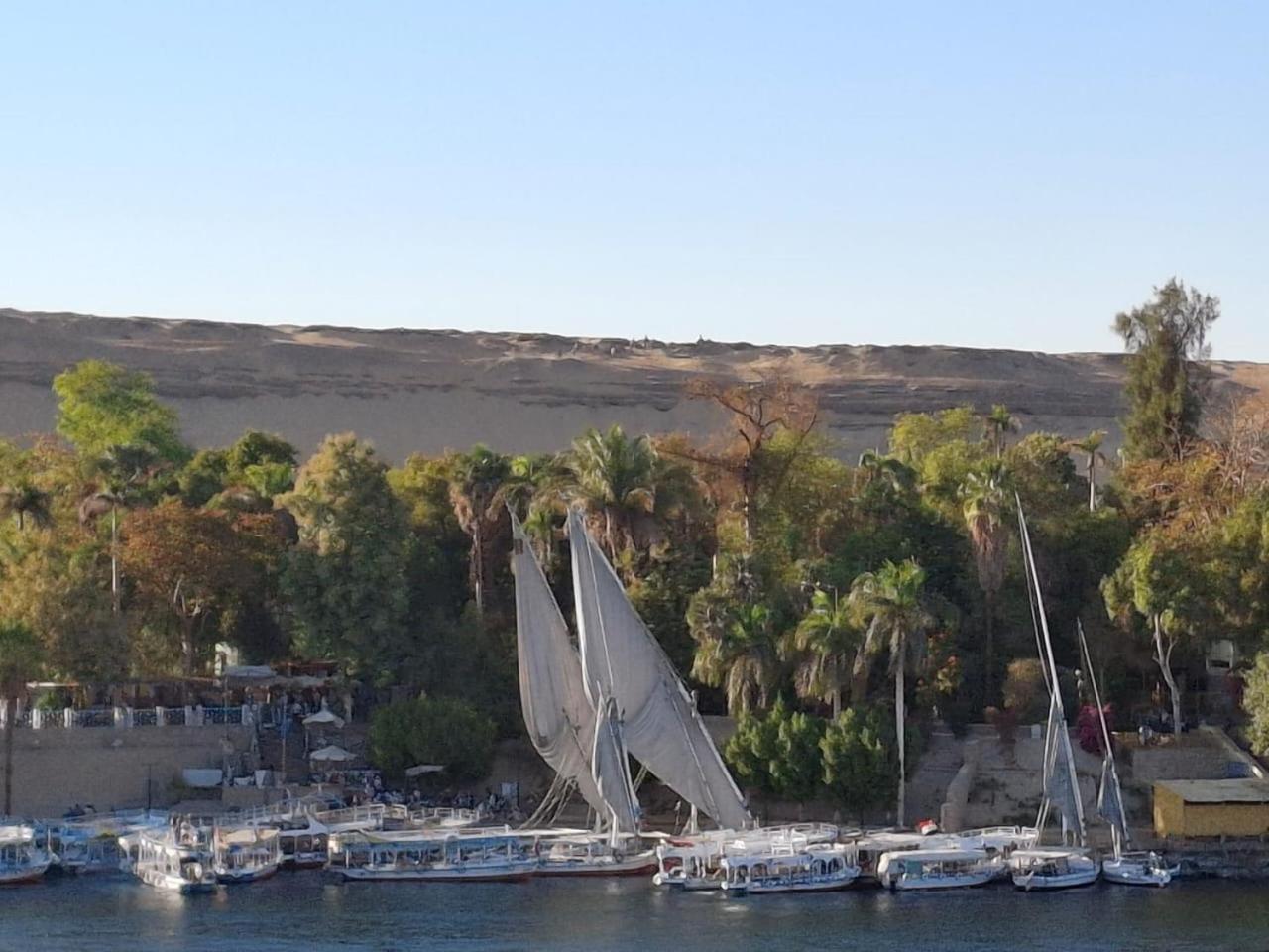 Casa de hóspedes El Aswan