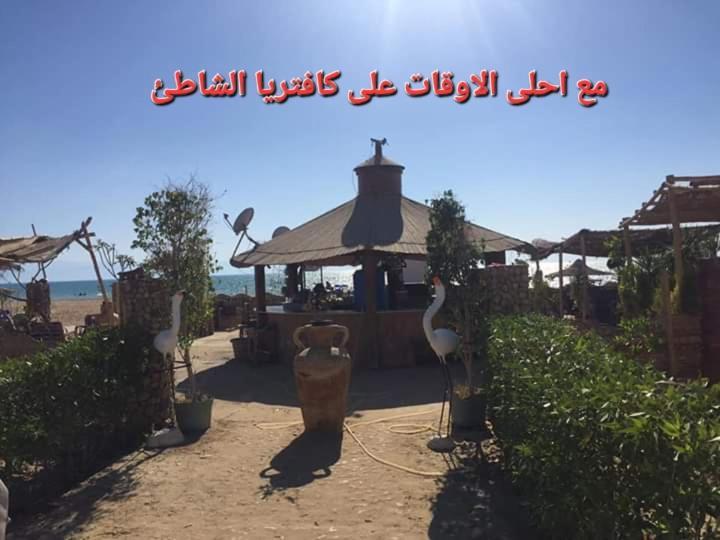 شالية بجنوب سيناء عائلات فقط Apartment Ras Sedr