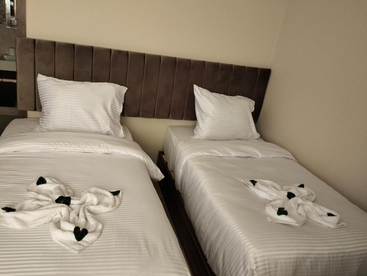 Hotel Night Pyramids 3*
