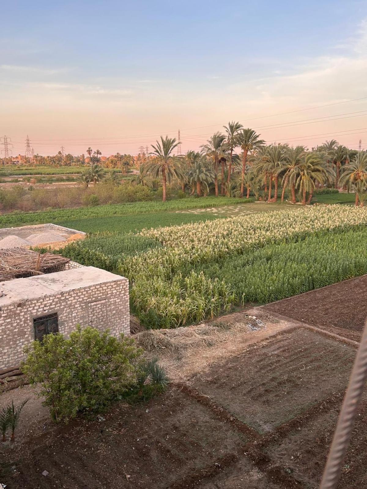 Golden Land Jannah Retreat 5*