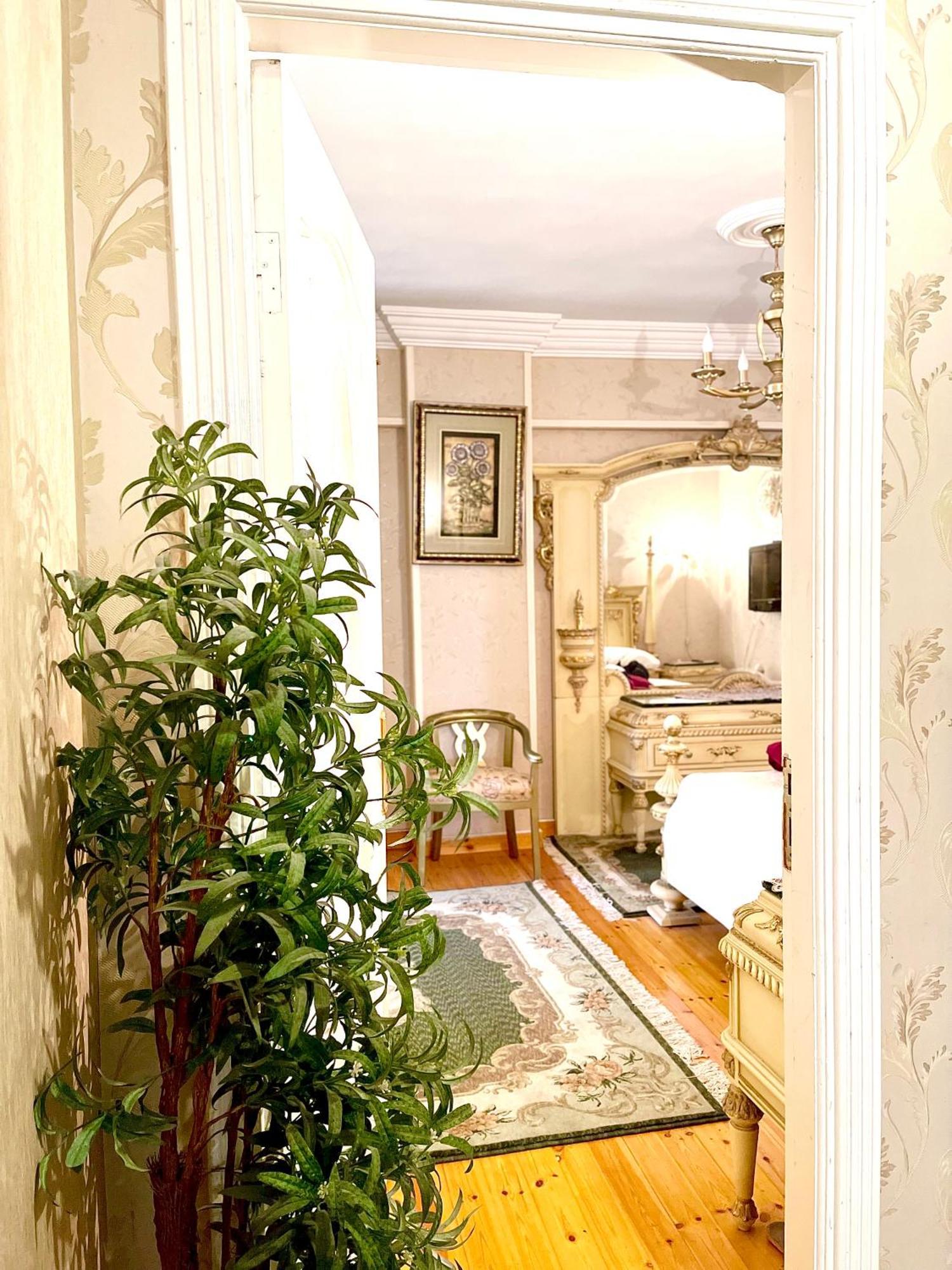 Homestay Meditation Alexandria