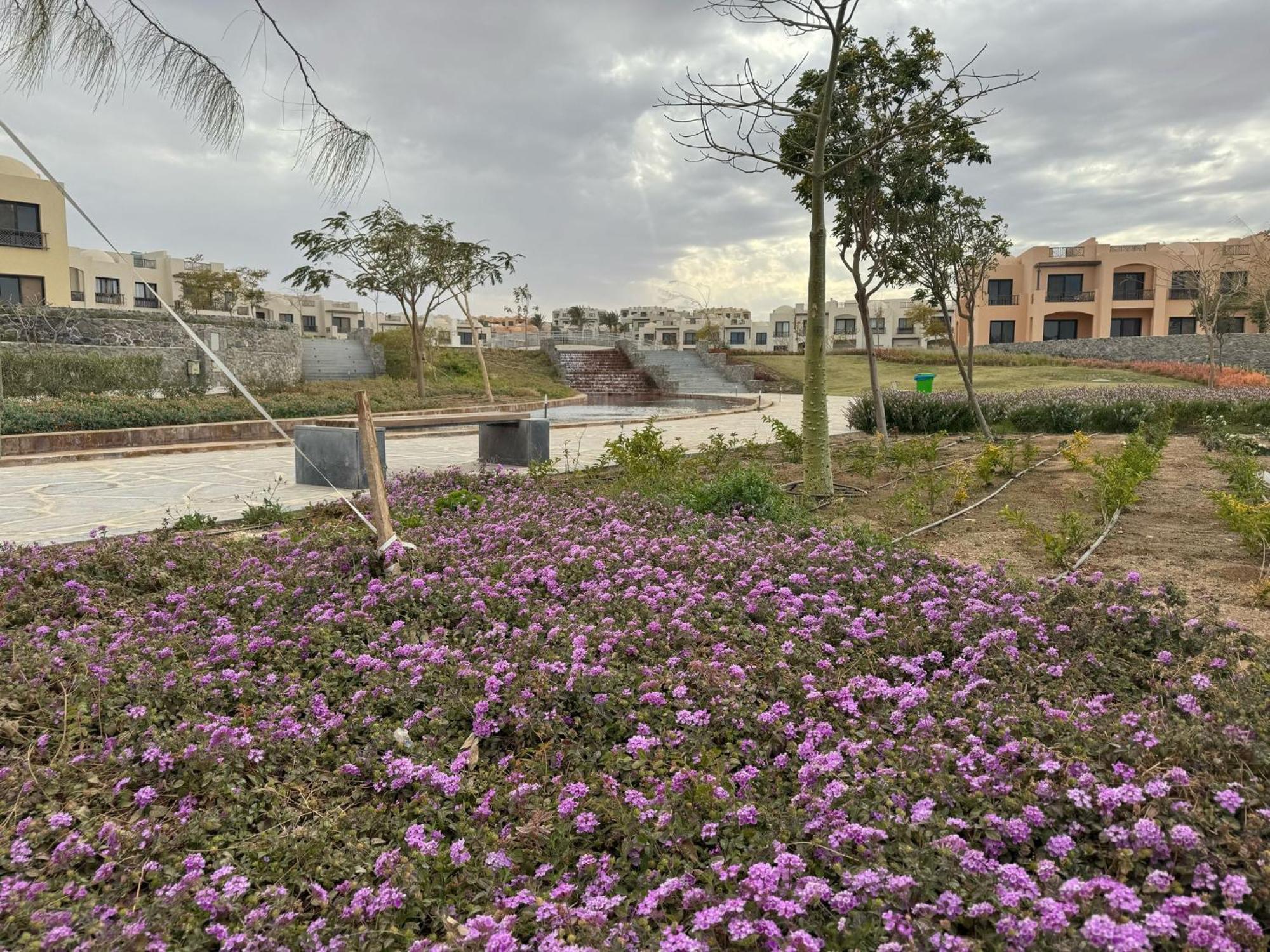 For On Your Own In Makadi Heights, Hurghada, Read Sea, Egypt