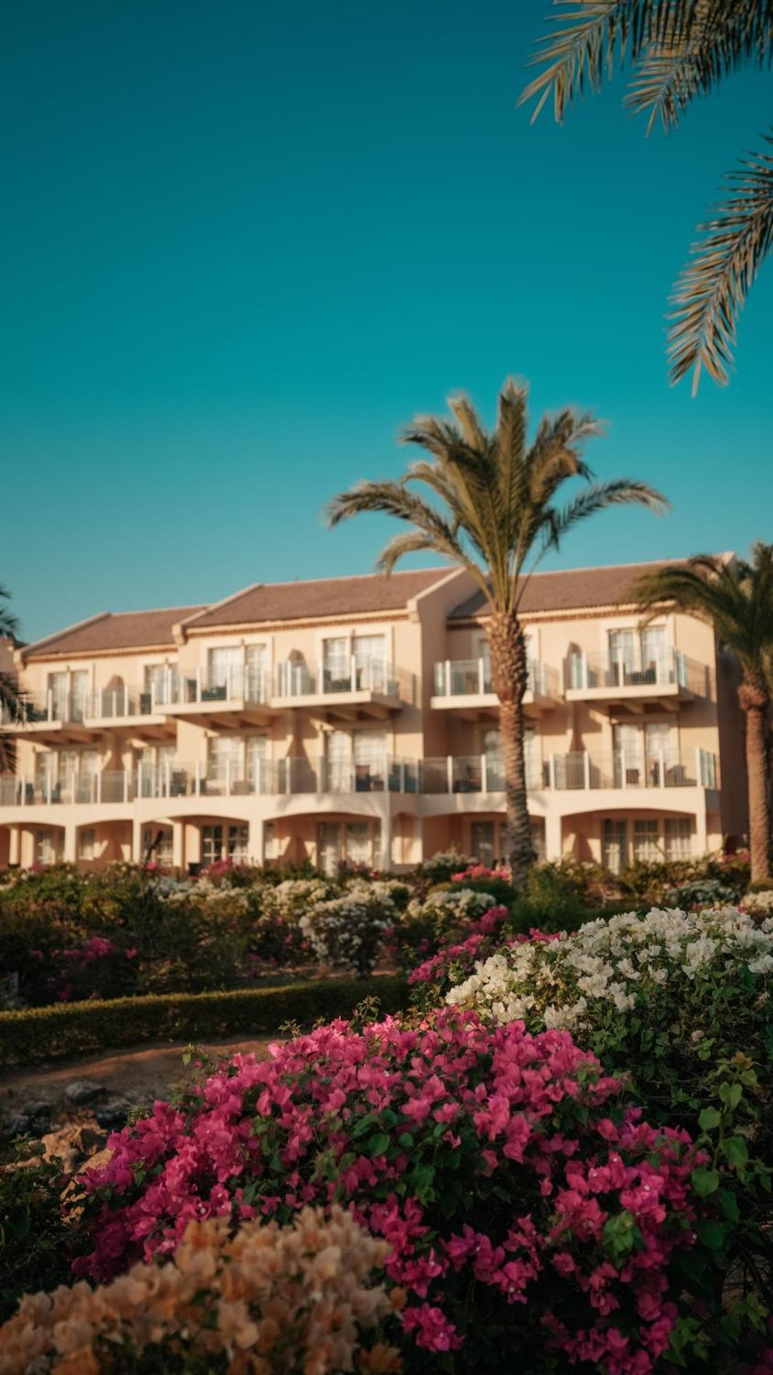 Movenpick & El Gouna Resort 5*