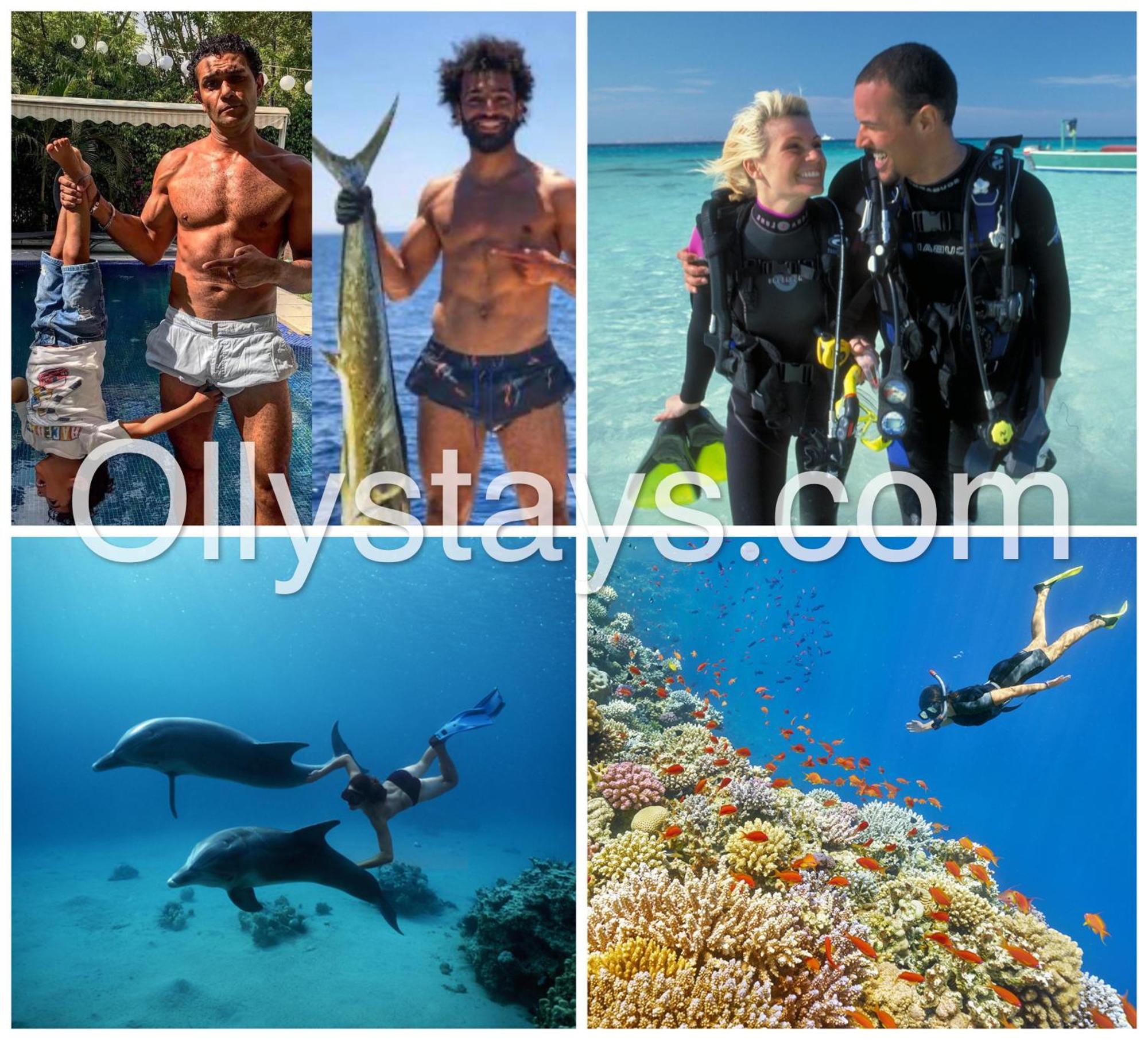 Apartment Ollystays Mangroovy Seaview 3br And Pool Free Access