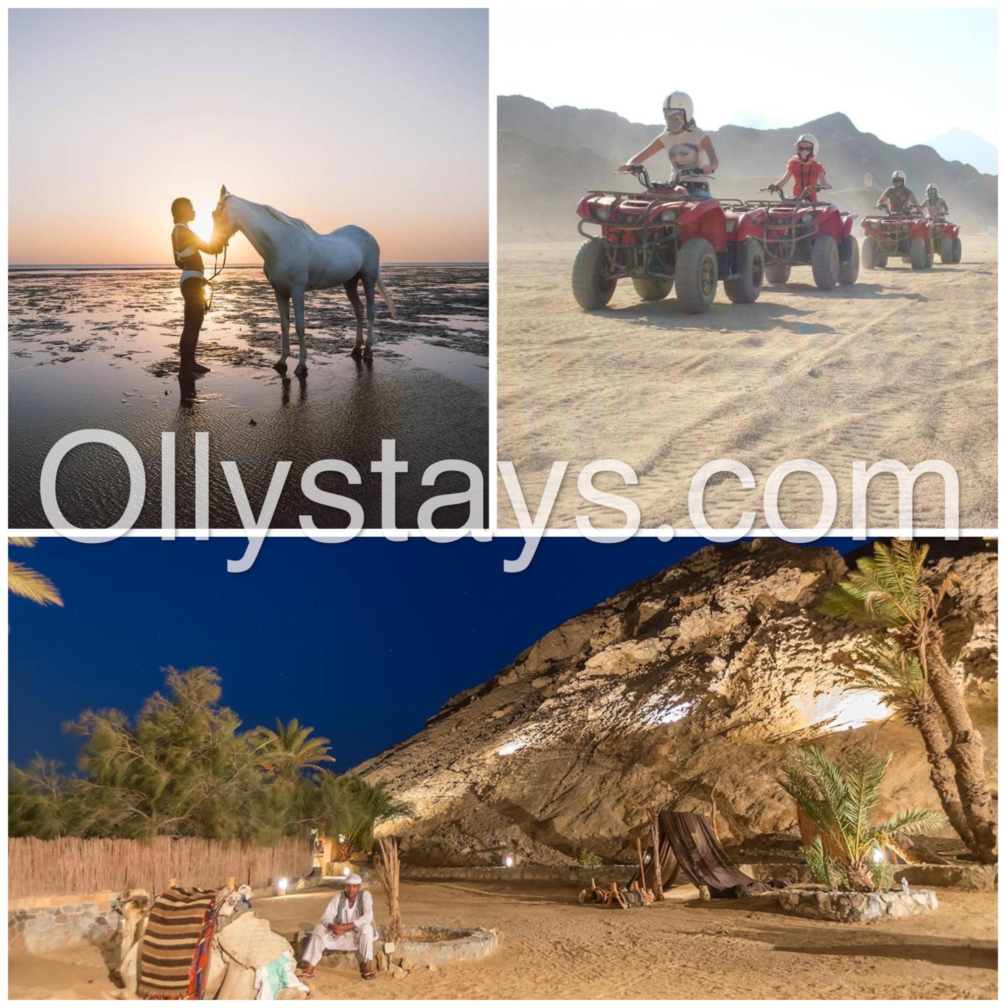 Ollystays Mangroovy Seaview 3br And Pool Free Access *