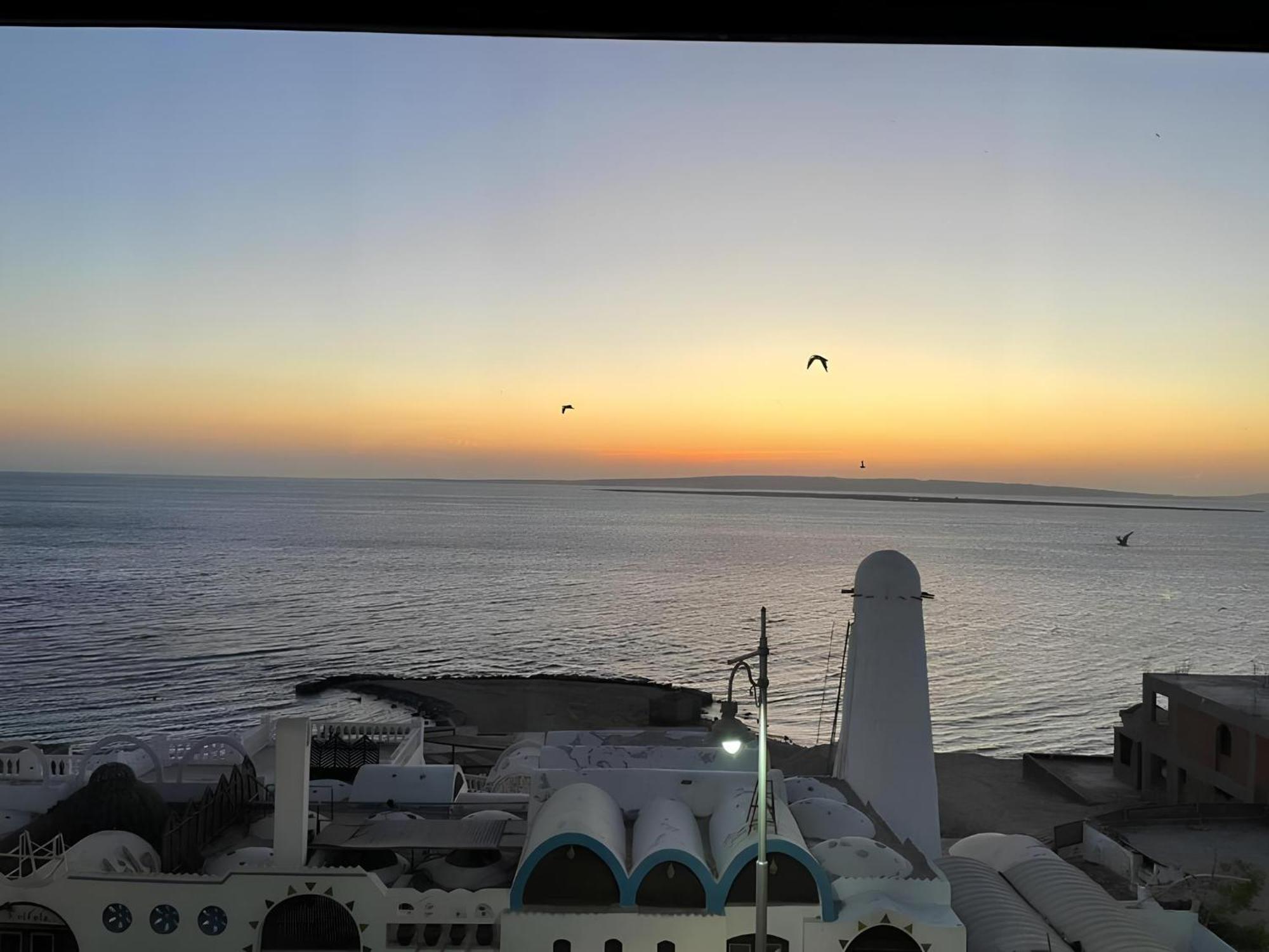 Blue View
