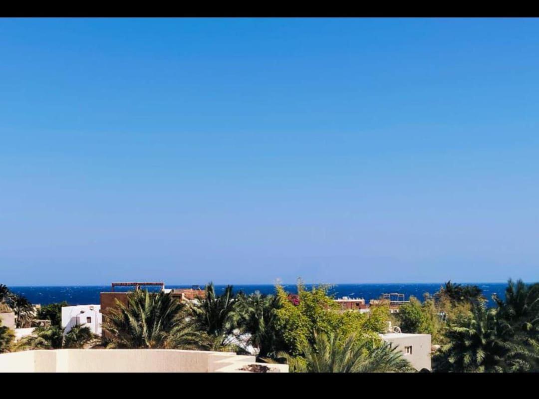 Blue Lotus Apartment Dahab