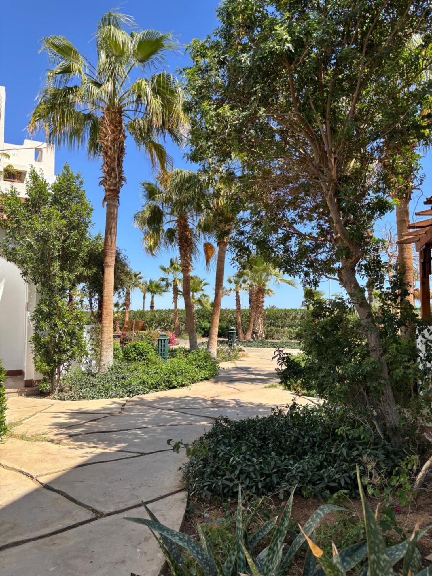 Deltastar Sharm El Sheikk