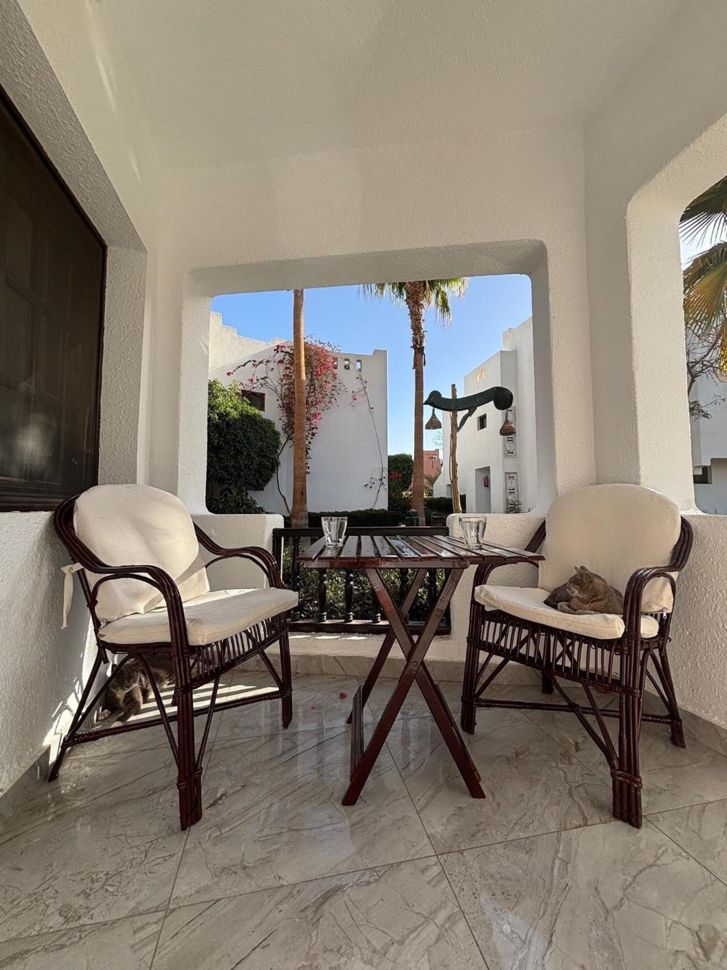 Aparthotel Delta 1 Bedroom With Pool View *