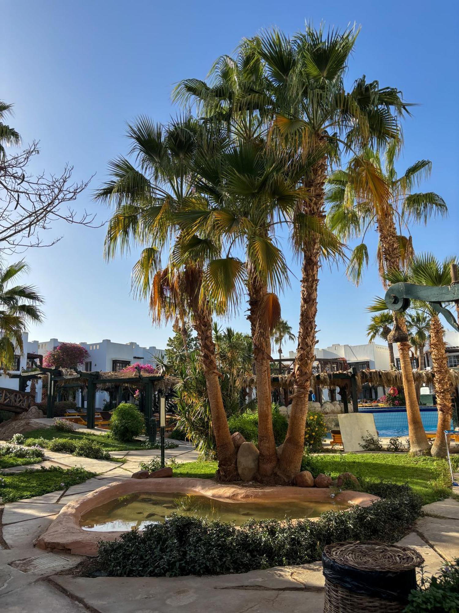 Aparthotel Delta 1 Bedroom With Pool View Sharm el-Sheikh