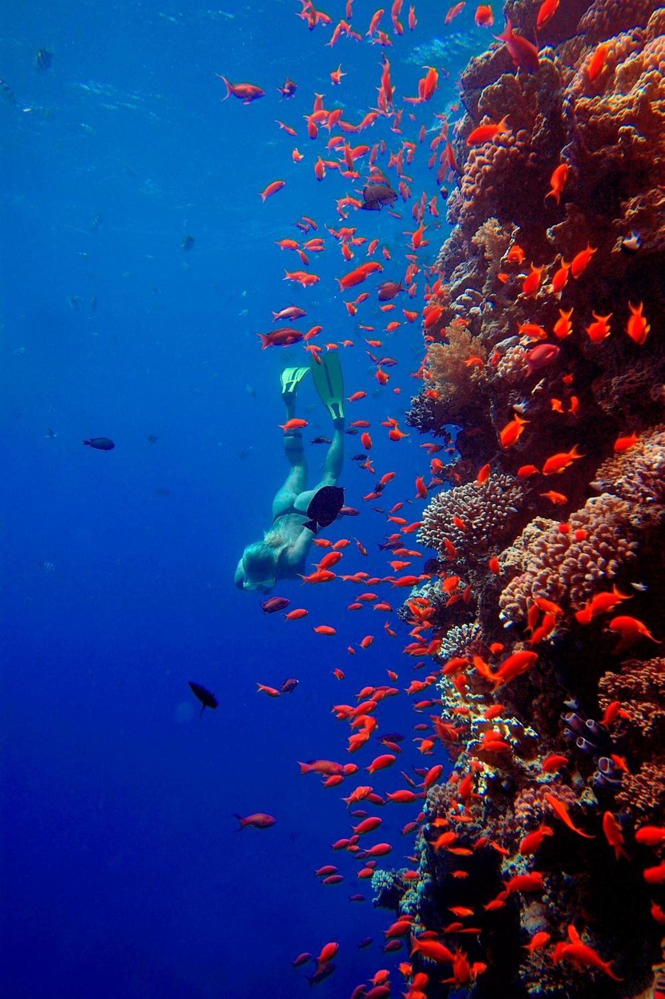 The Breakers Diving And Surfing Soma Bay 4* Hurghada