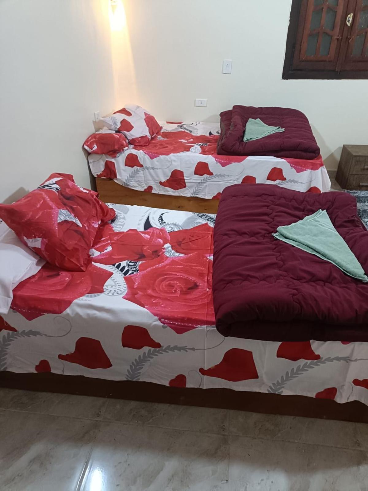 Badry Sahara Camp Acampamento