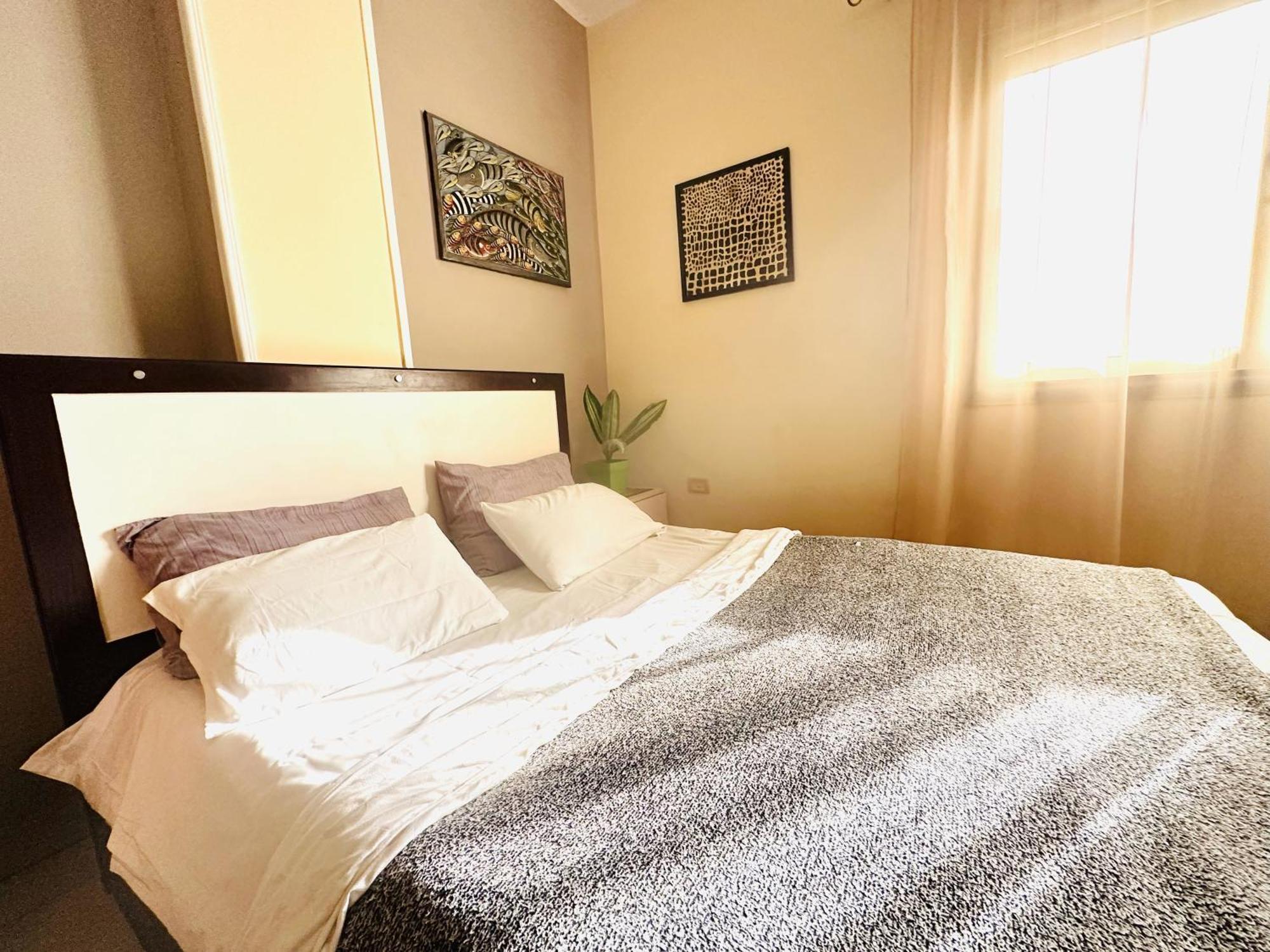 Zebra Center Apartment *