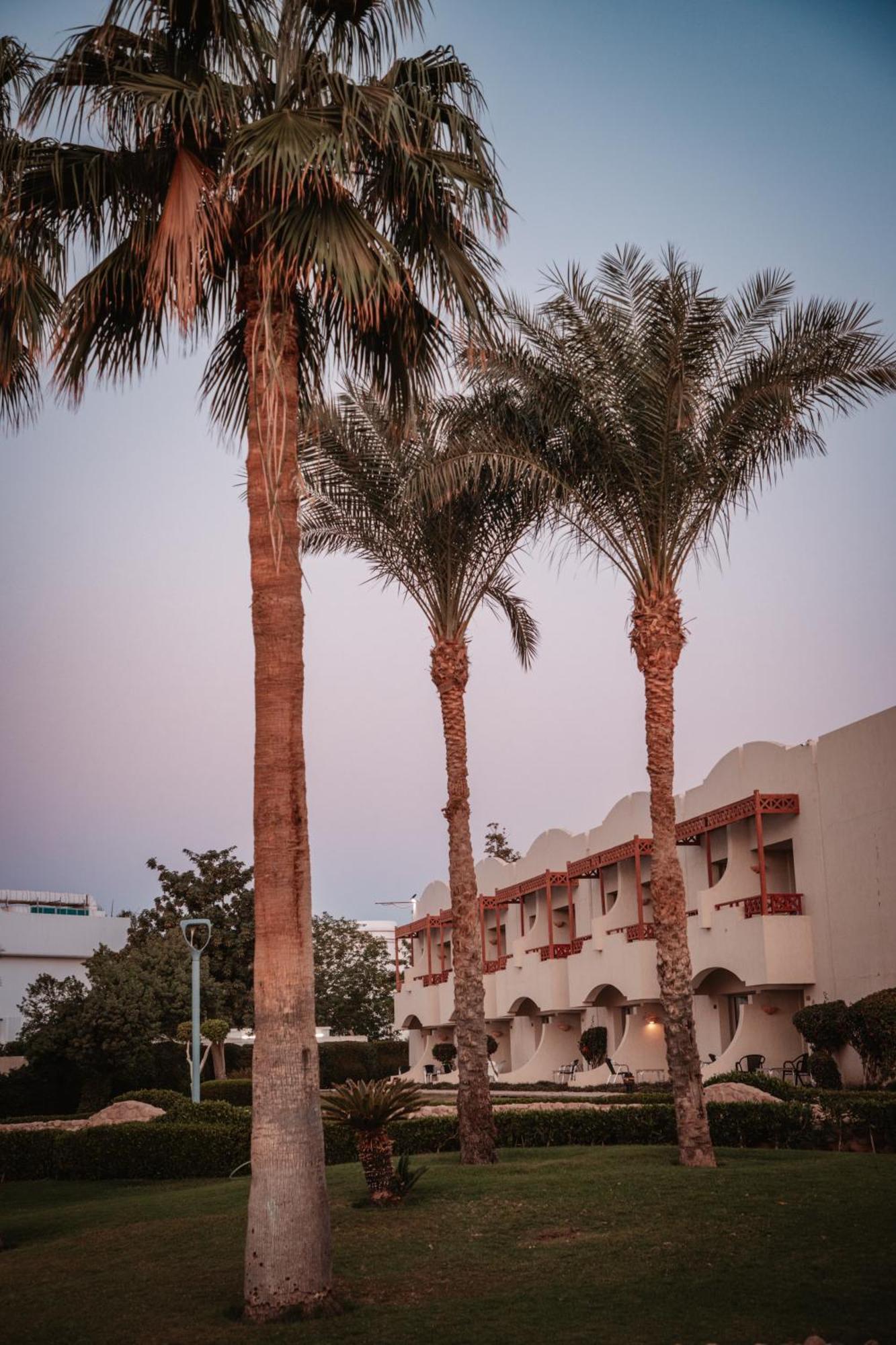 Complex Naama Bay Promenade Managed By Accor 5*