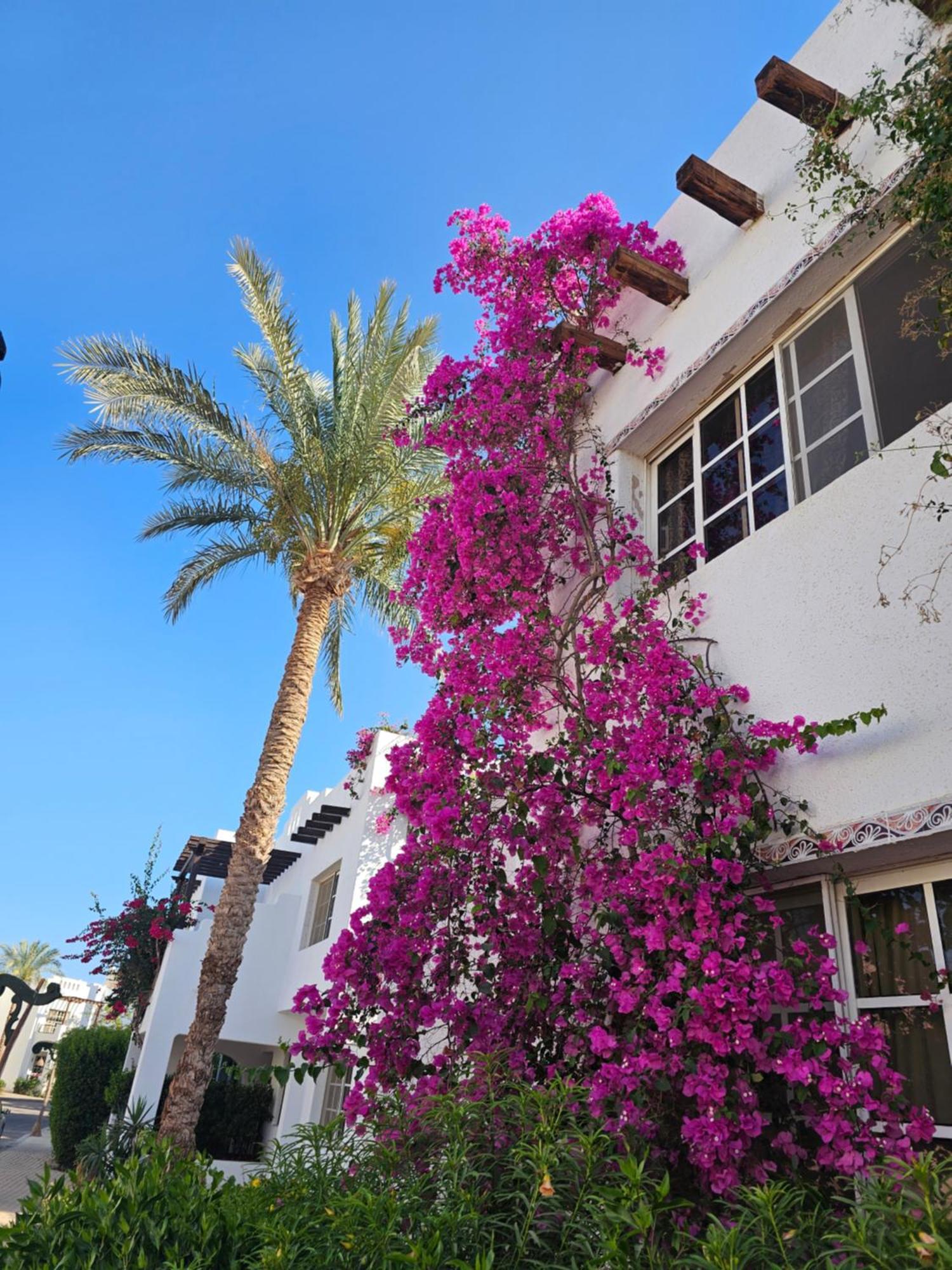 Blue Bay Delta Apartment