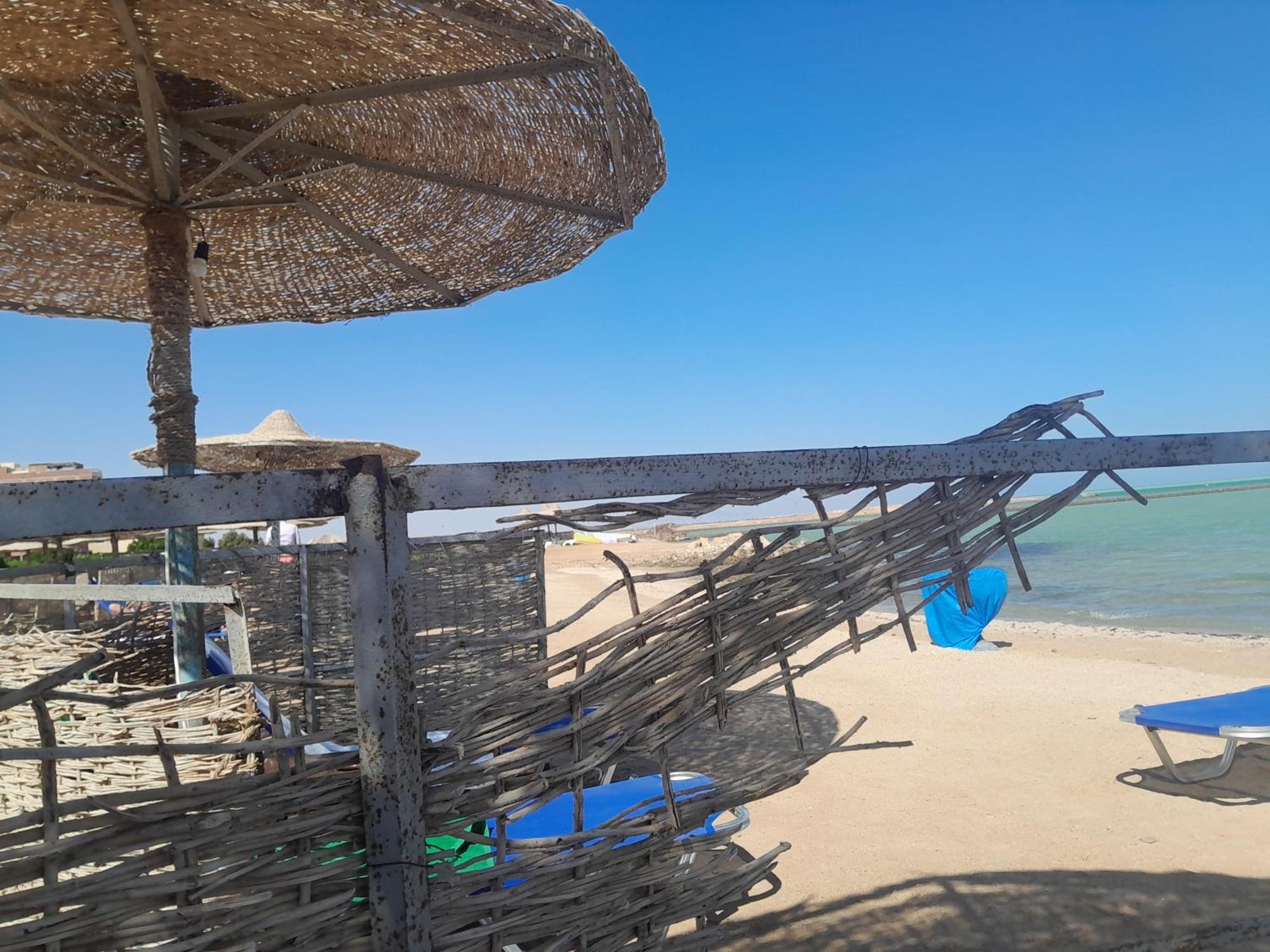 Aparthotel Turtles Hourghada View Sea View Pool Private Jacuzzi Security Air-conditioned Cafe Restaurant On The And A Large Sunny Balcony *