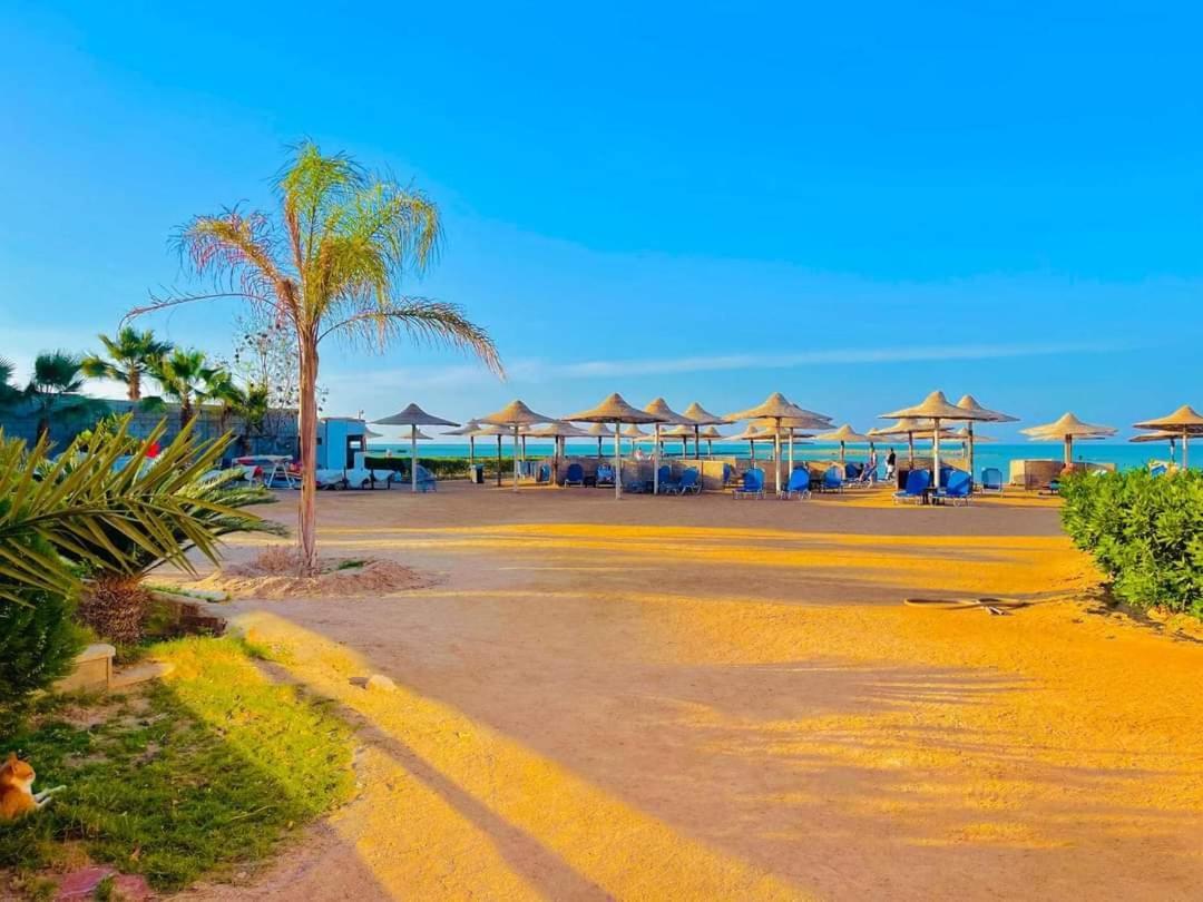 Turtles Hourghada View Sea View Pool Private Jacuzzi Security Air-conditioned Cafe Restaurant On The And A Large Sunny Balcony