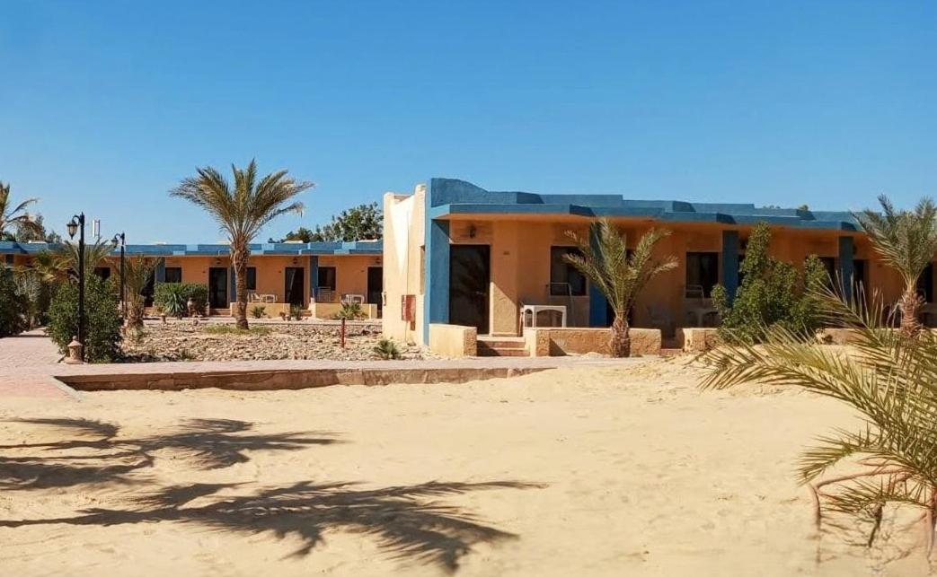 Mangrove Bay El Qoseir