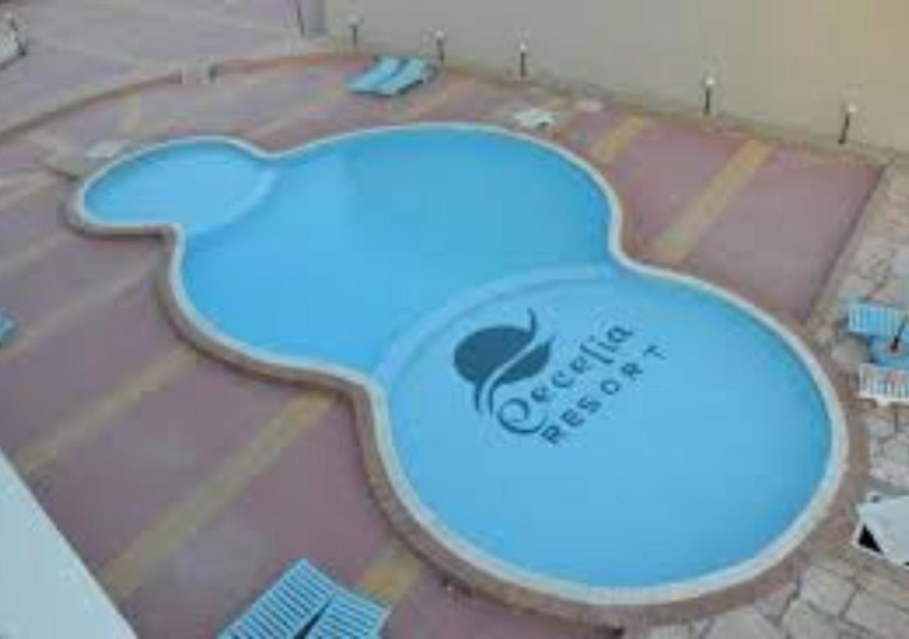 Luxury Cecelia