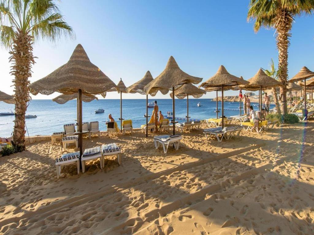 Concorde El Salam Shiekh Otel