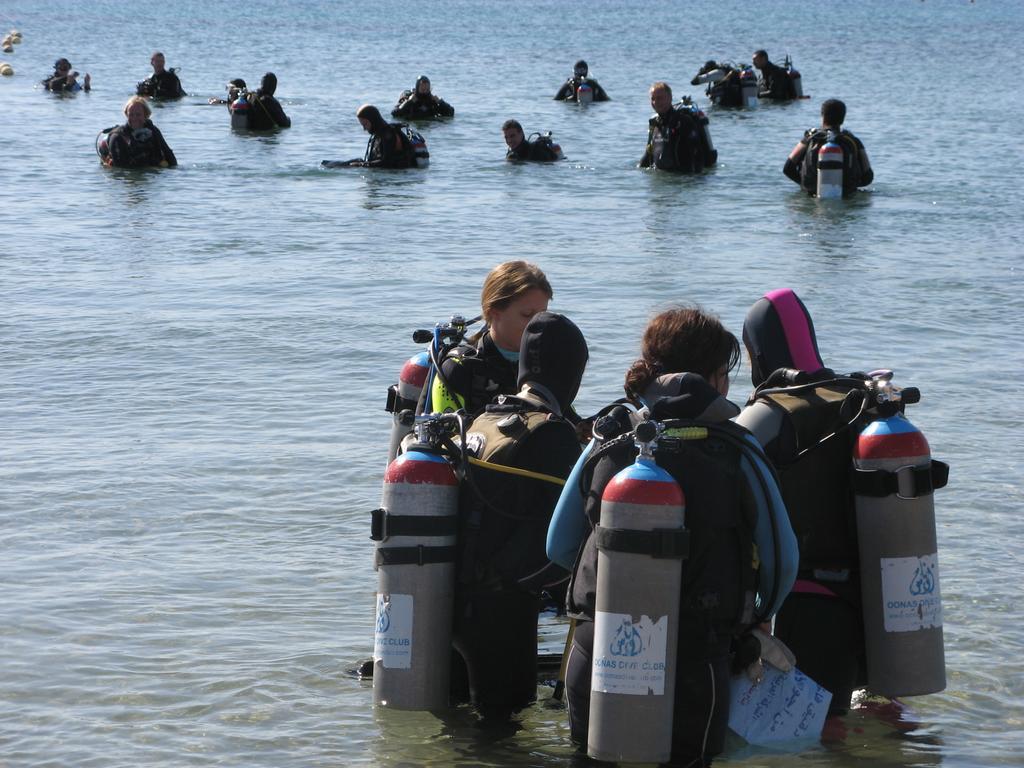 Oonas Dive Club