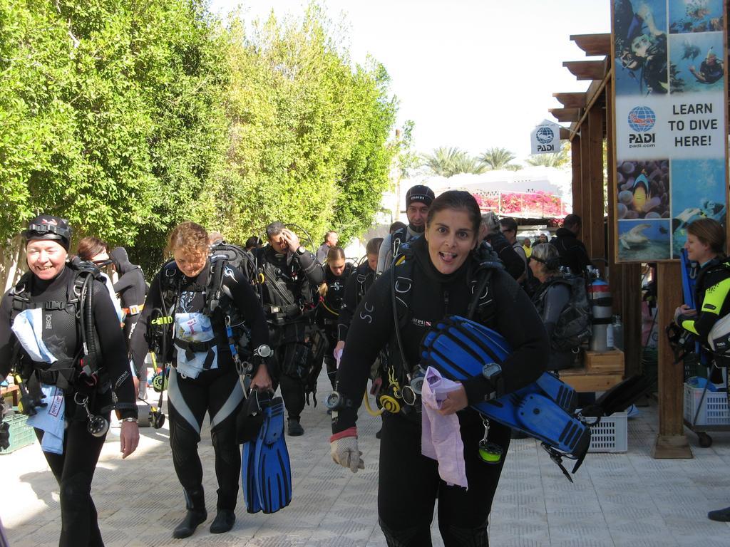 Oonas Dive Club Şarm El-Şeyh