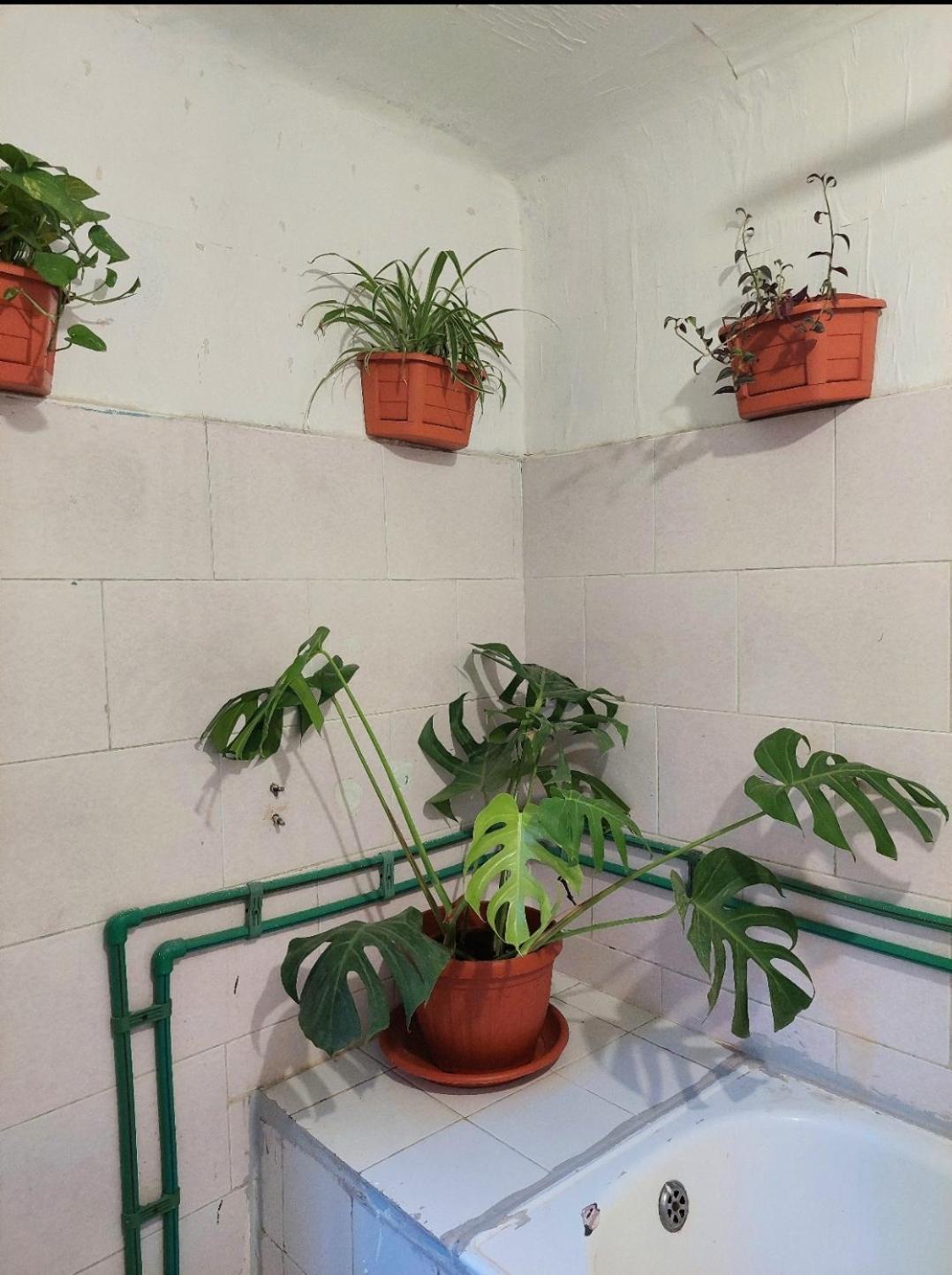 Hostel Men's Exclusive Arab Alexandria