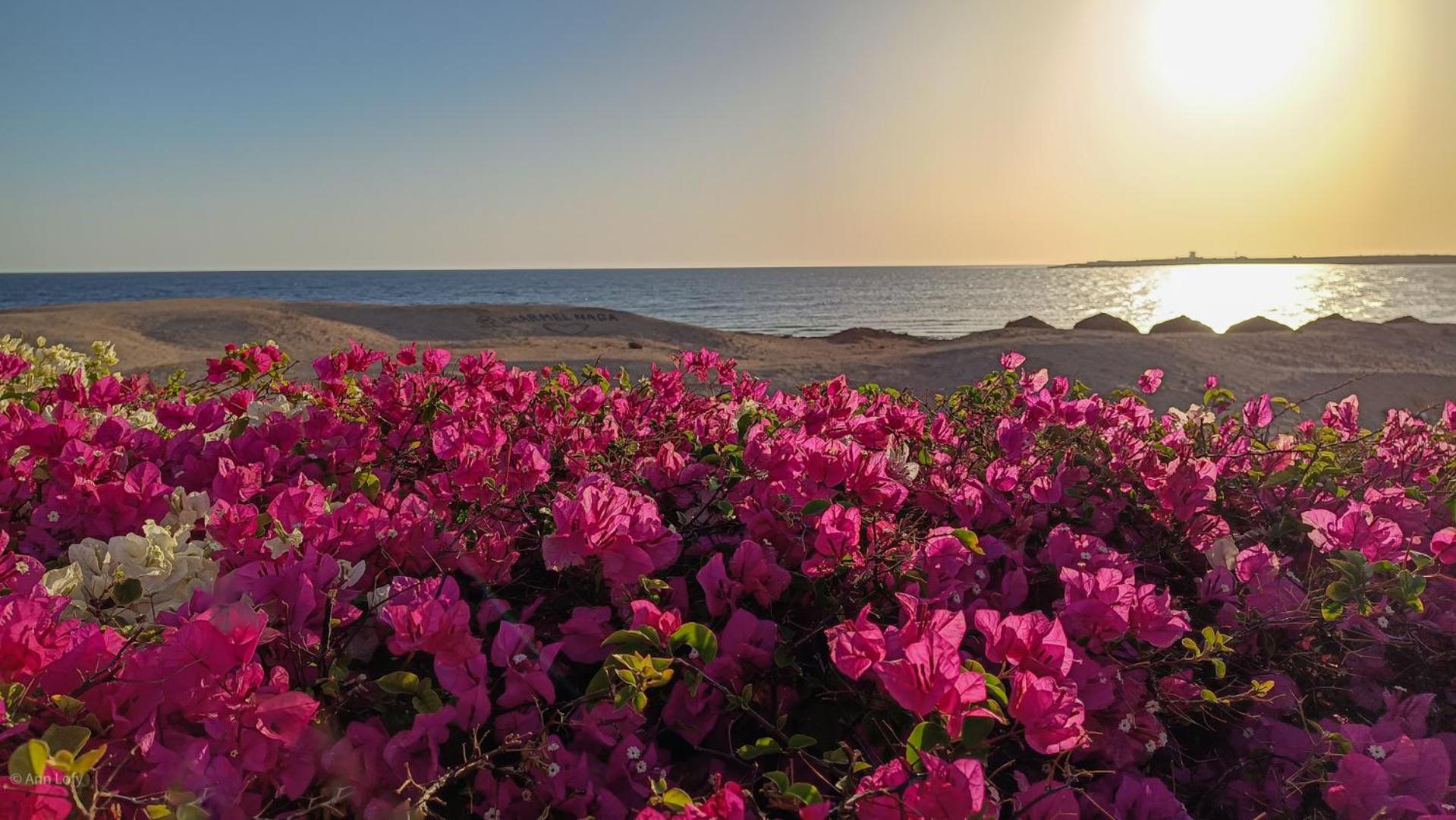 Sharm El Naga And Diving Center Campsite Hurghada