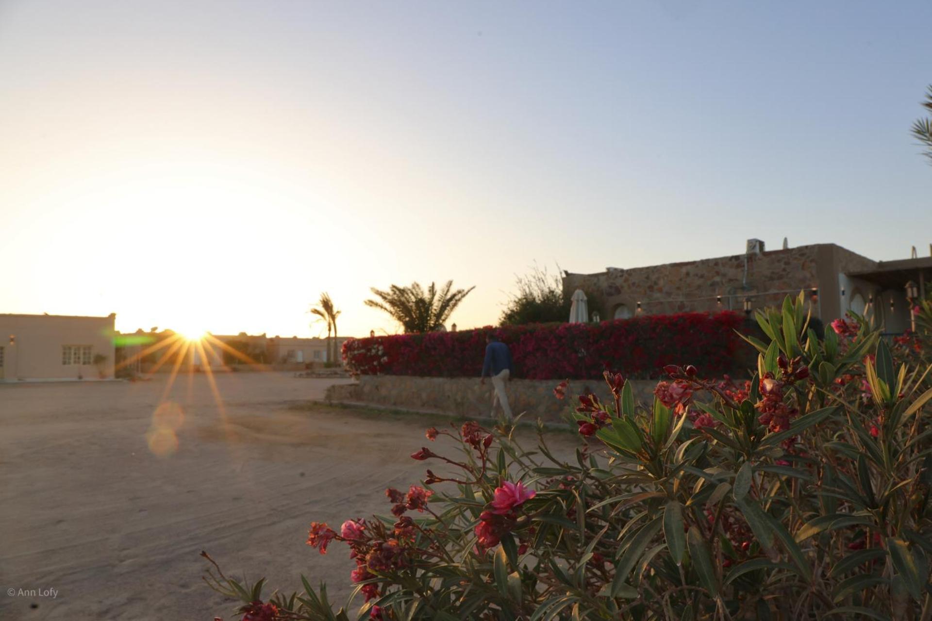 Kamp alanı Sharm El Naga And Diving Center