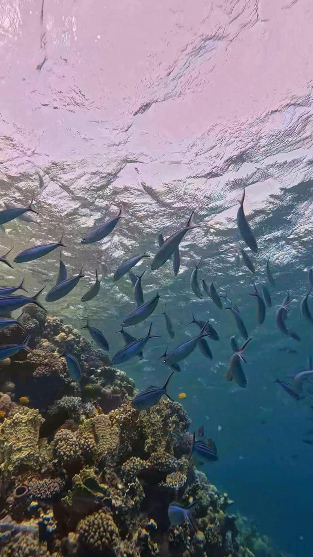 Sharm El Naga And Diving Center Campsite