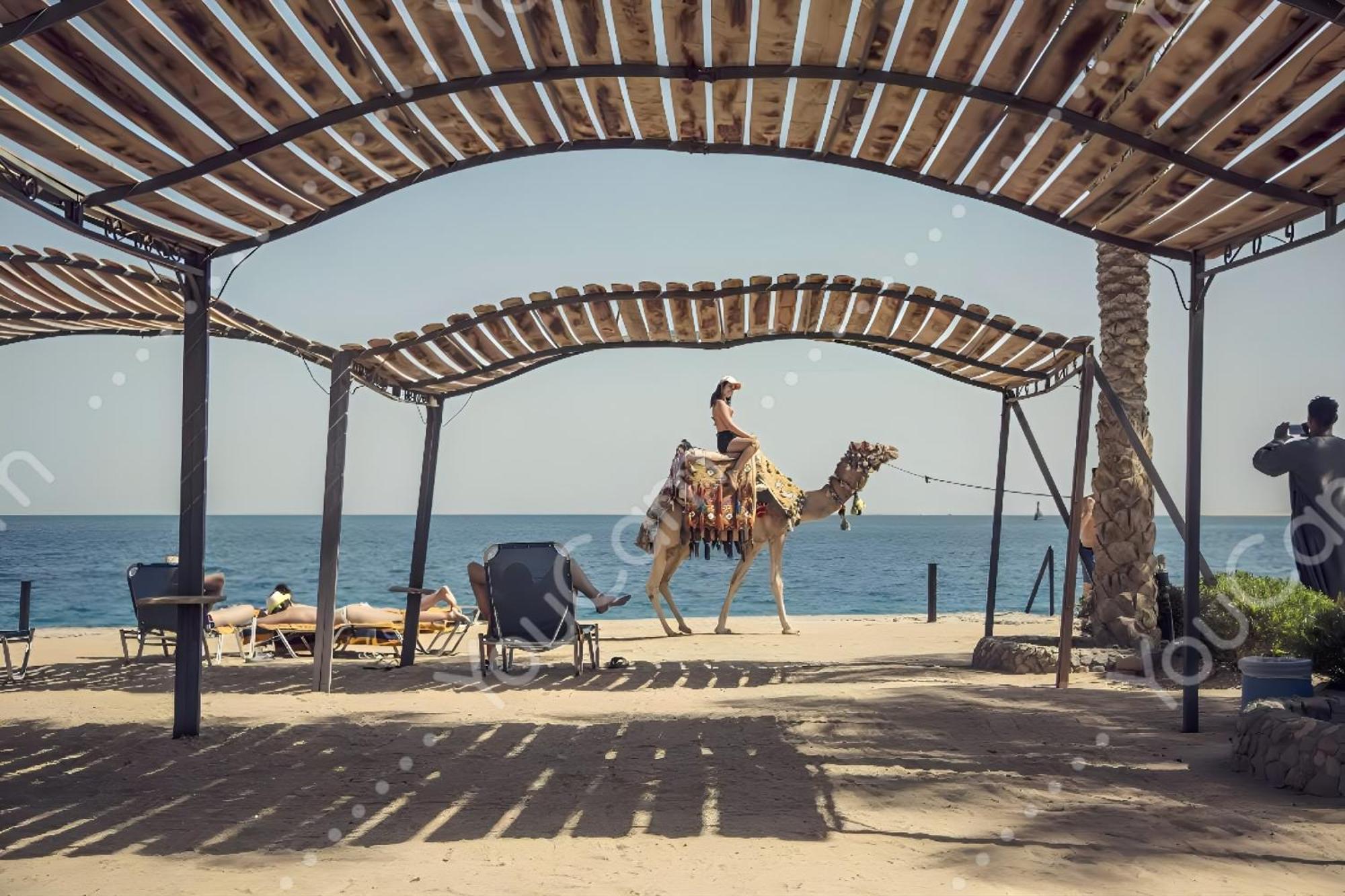 Hotel Al Dora Hurghada
