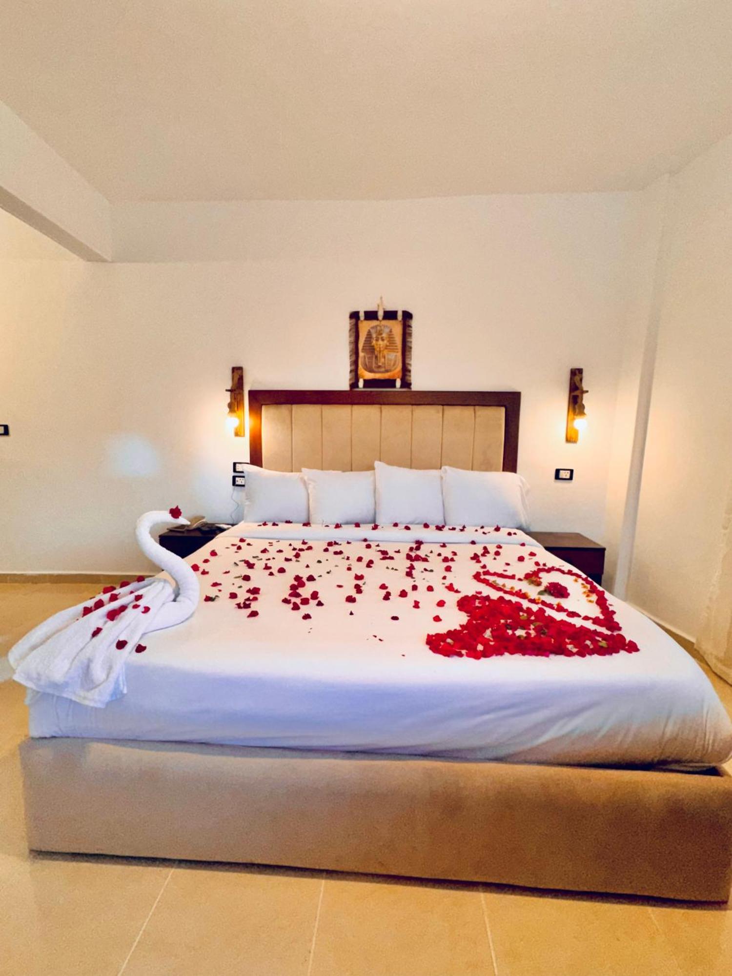 Hotel New Arena Pyramids View Giza