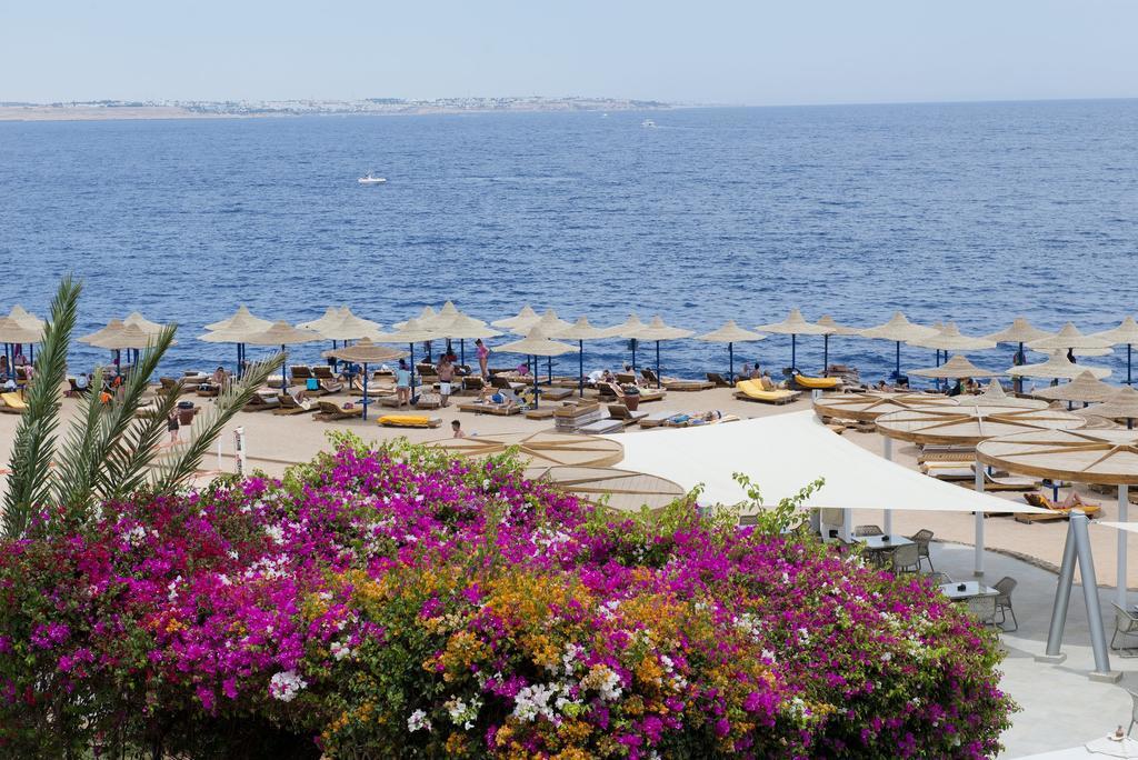 Resort Amphoras Blu Sharm El Sheikk