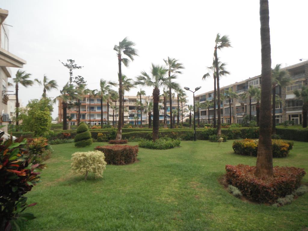 Maamoura Armed Forces
