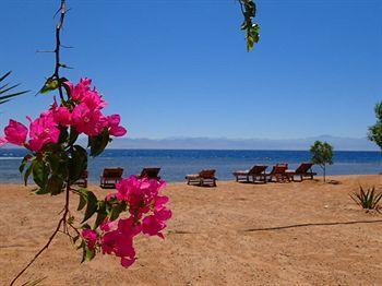 Bedouin Star Campsite 4*
