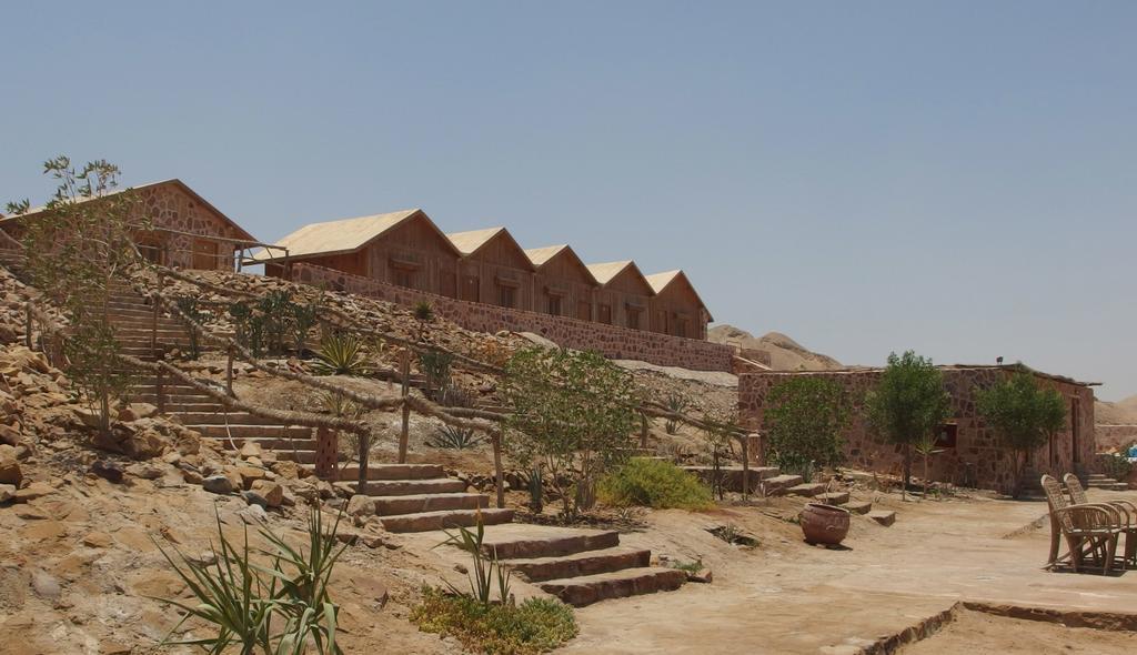 Resort Roots Red Sea 3*