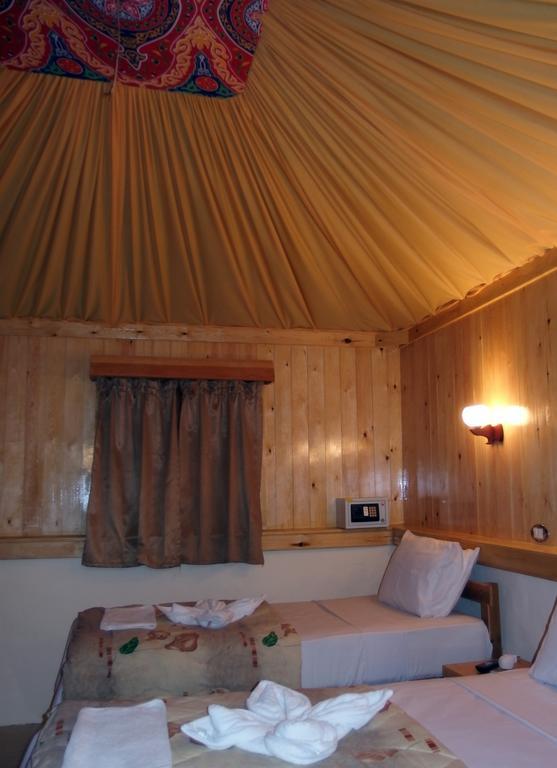 Resort Roots Red Sea 3*