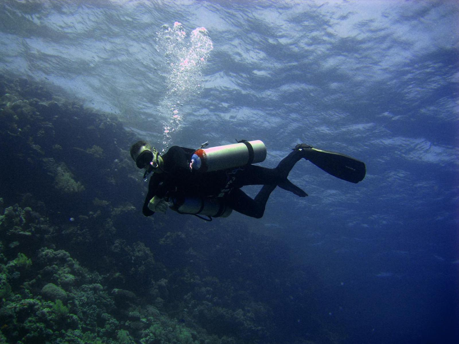 Oonas Dive Club Resort 2*