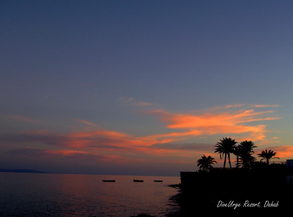 Inn Dive Urge Dahab