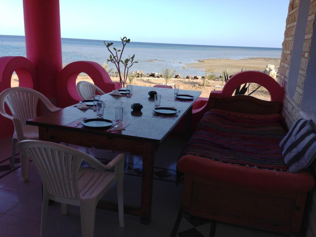 Diving Station - Reef * Marsa Alam