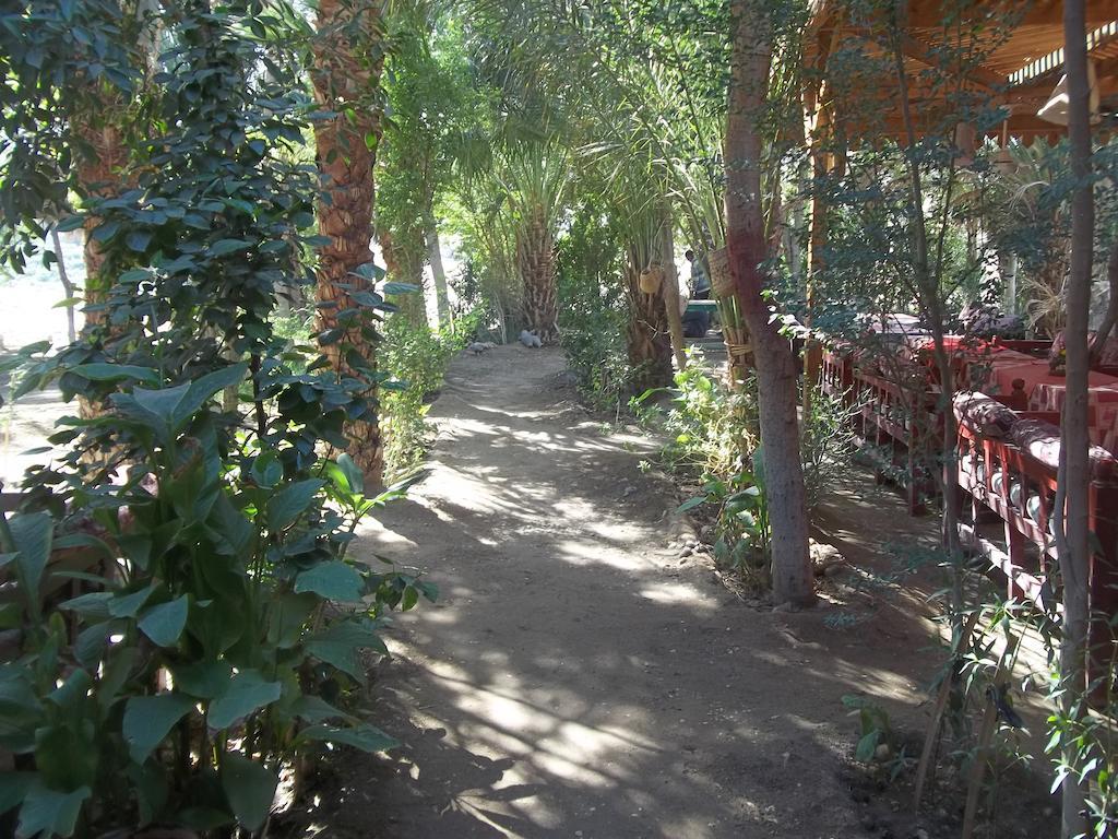 Otel Nour El Gourna