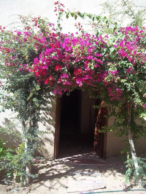 Otel Nour El Gourna Luksor