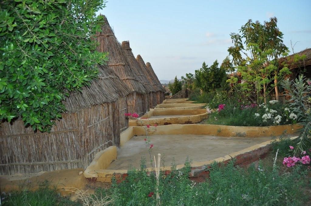 Badry Sahara Camp Bawati