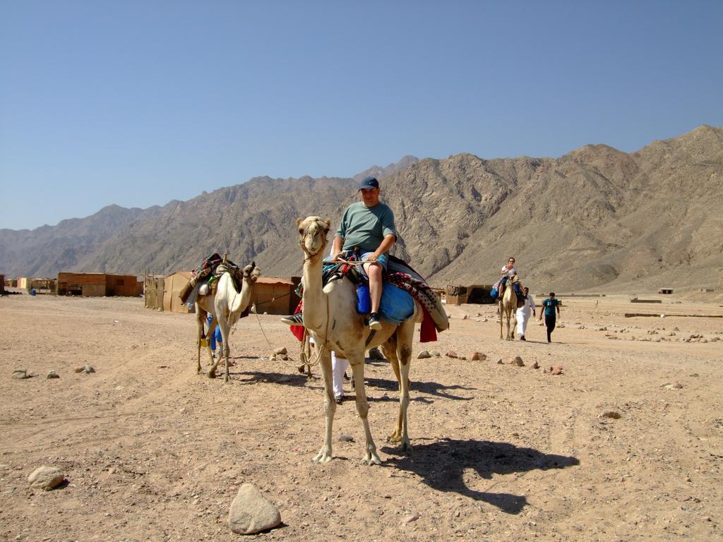 Inn Dive Urge Dahab