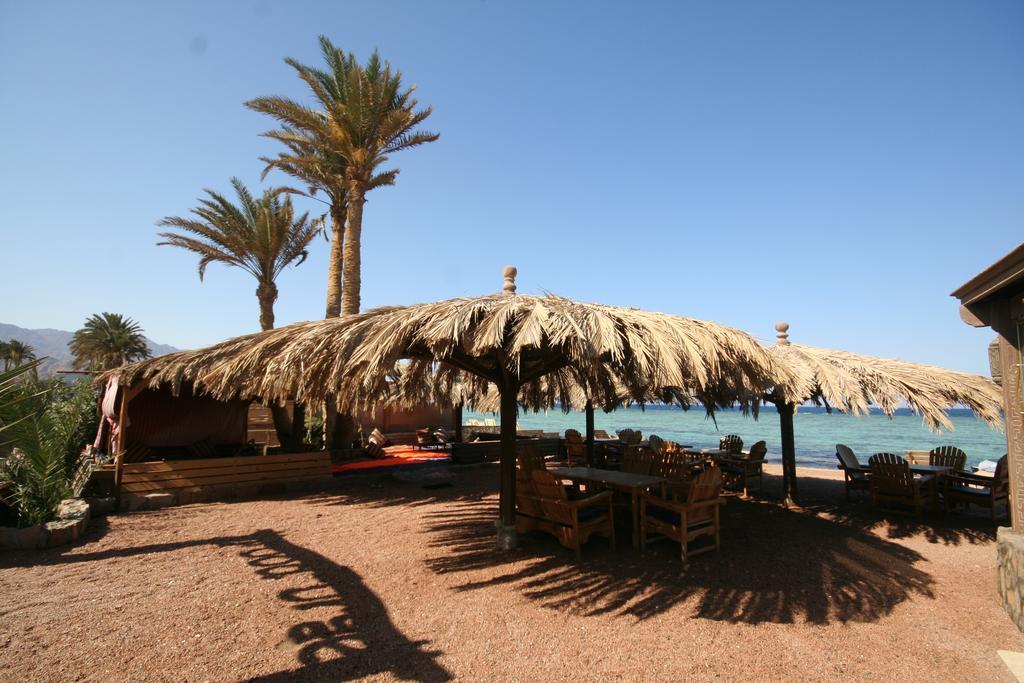 Inn Dive Urge 3*