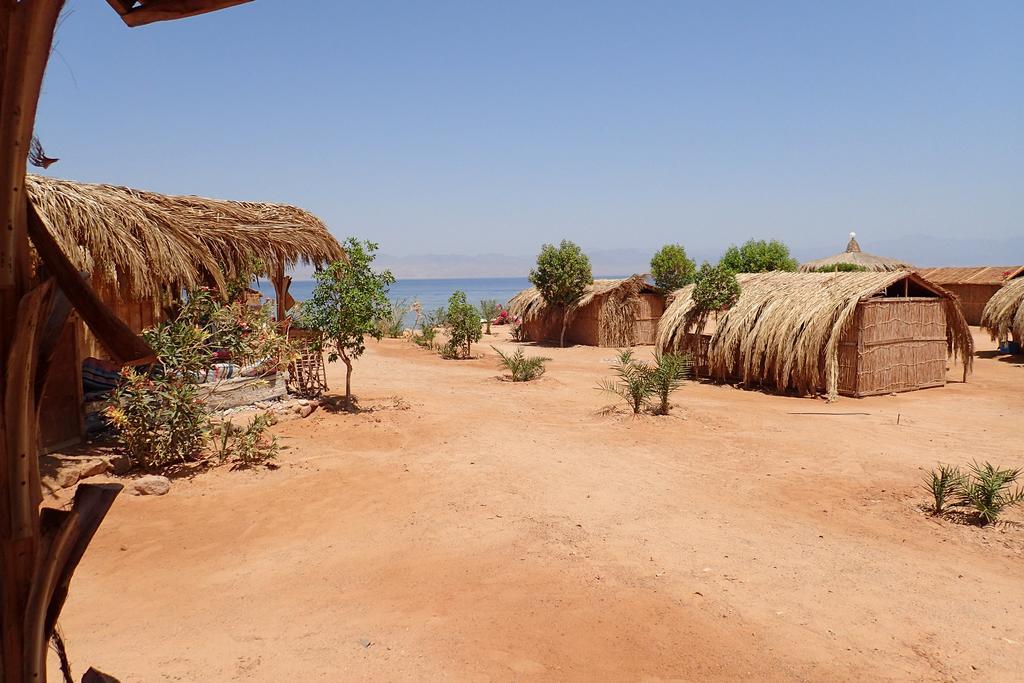 Campsite Bedouin Star Taba
